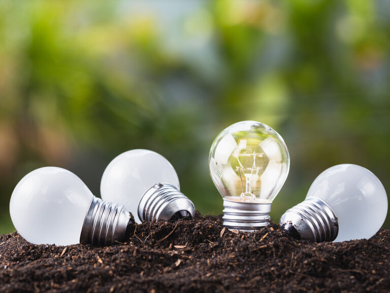 A different small lightbulb growing on soil.