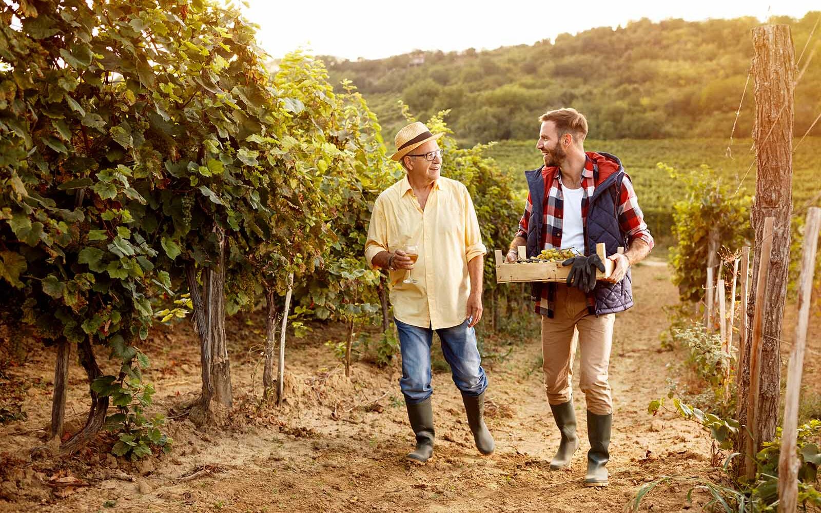 Feature photo by LuckyBusiness/AdobeStock smiling winemaker father and son harvesting grapes