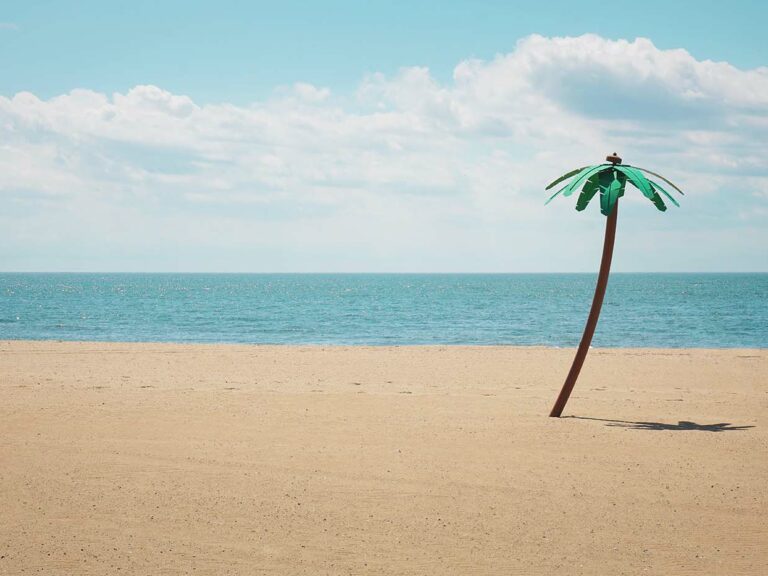 Photo of a fake palm tree on Coney Island.