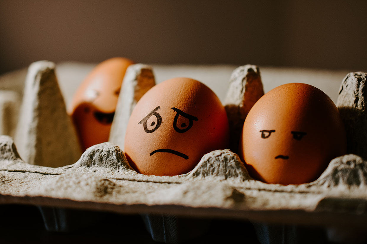 Brown eggs on white textile, ©Nik / Unsplash