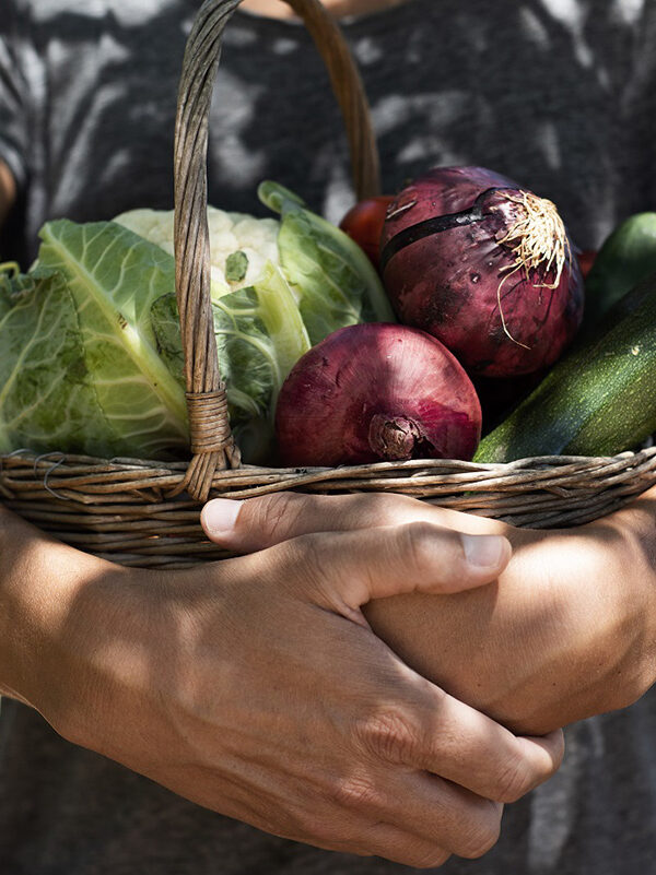 ©nito/AdobeStock Photo of a person holding a basket of vegetables