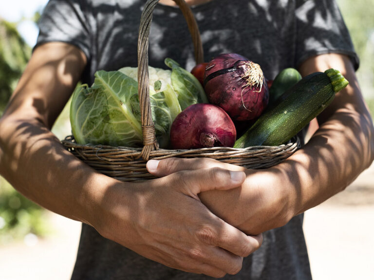 Photo of a person holding a basket of vegetables