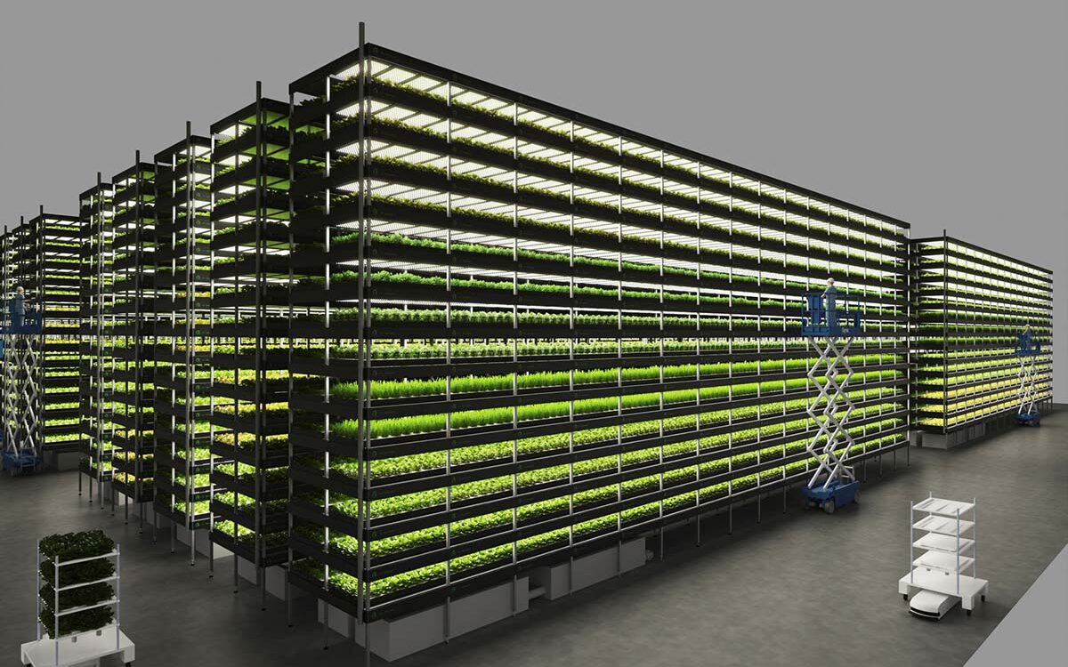 ©Nordic Harvest Digital photo of the Nordic Harvest vertical farming system.