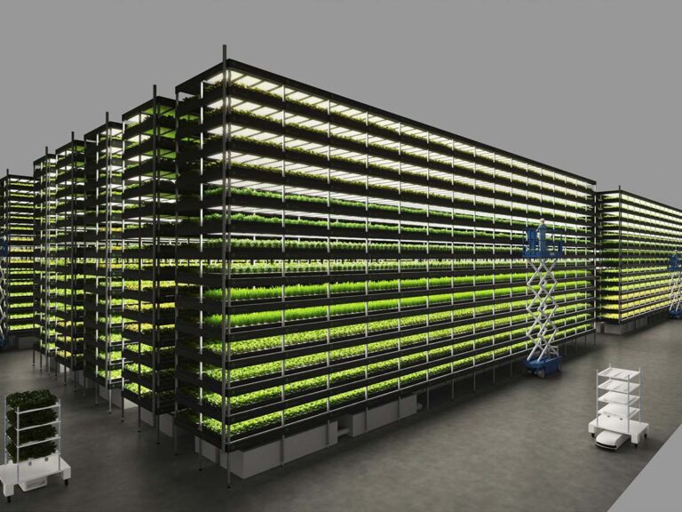 Digital photo of the Nordic Harvest vertical farming system.