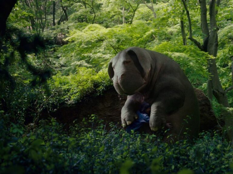 Photo from the film Okja depicting the super pig and the little girl hugging