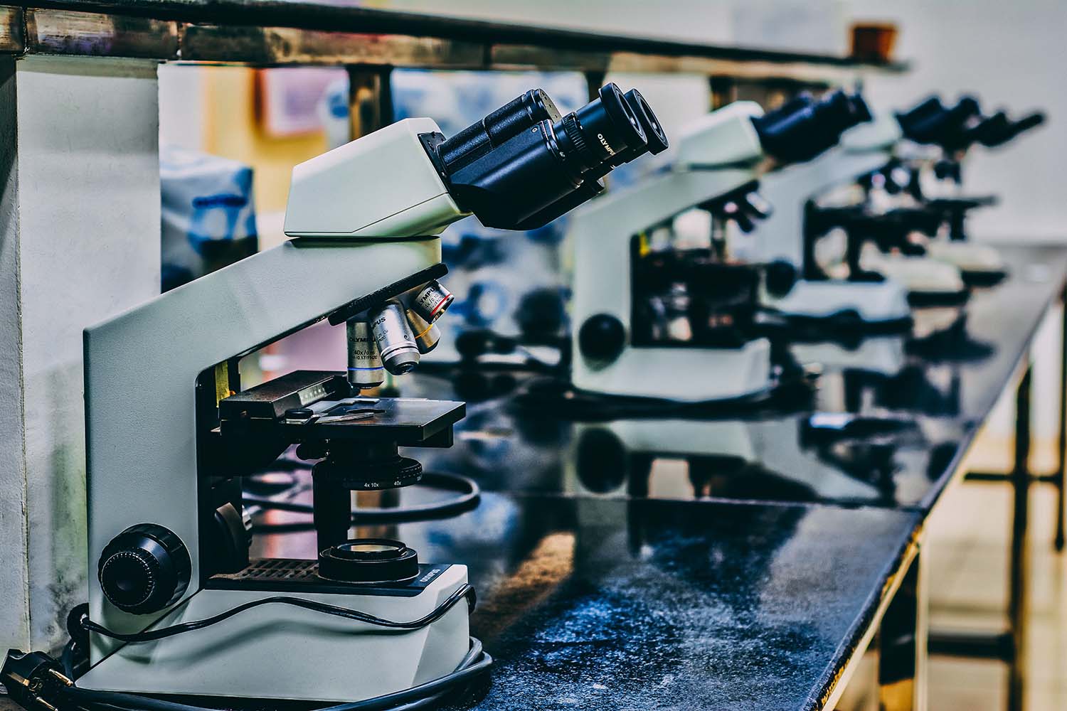 A row of microscopes.