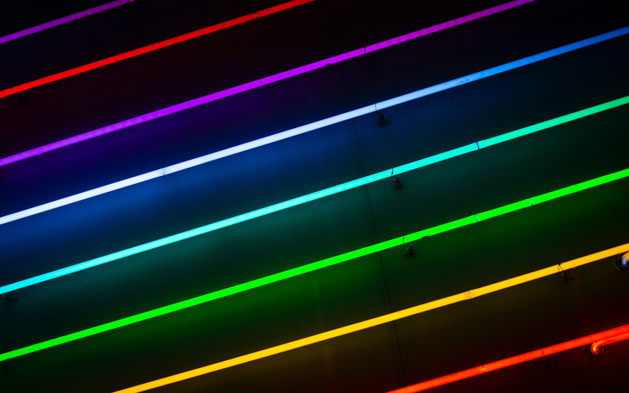 Feature photo by Drew Beamer/Unsplash Feature photo by Drew Beamer/Unsplash. Rainbow lights.