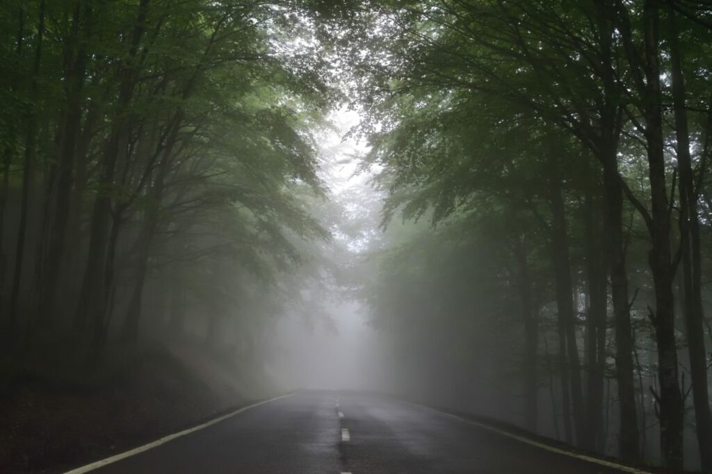 Misty road