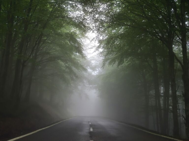 Misty road