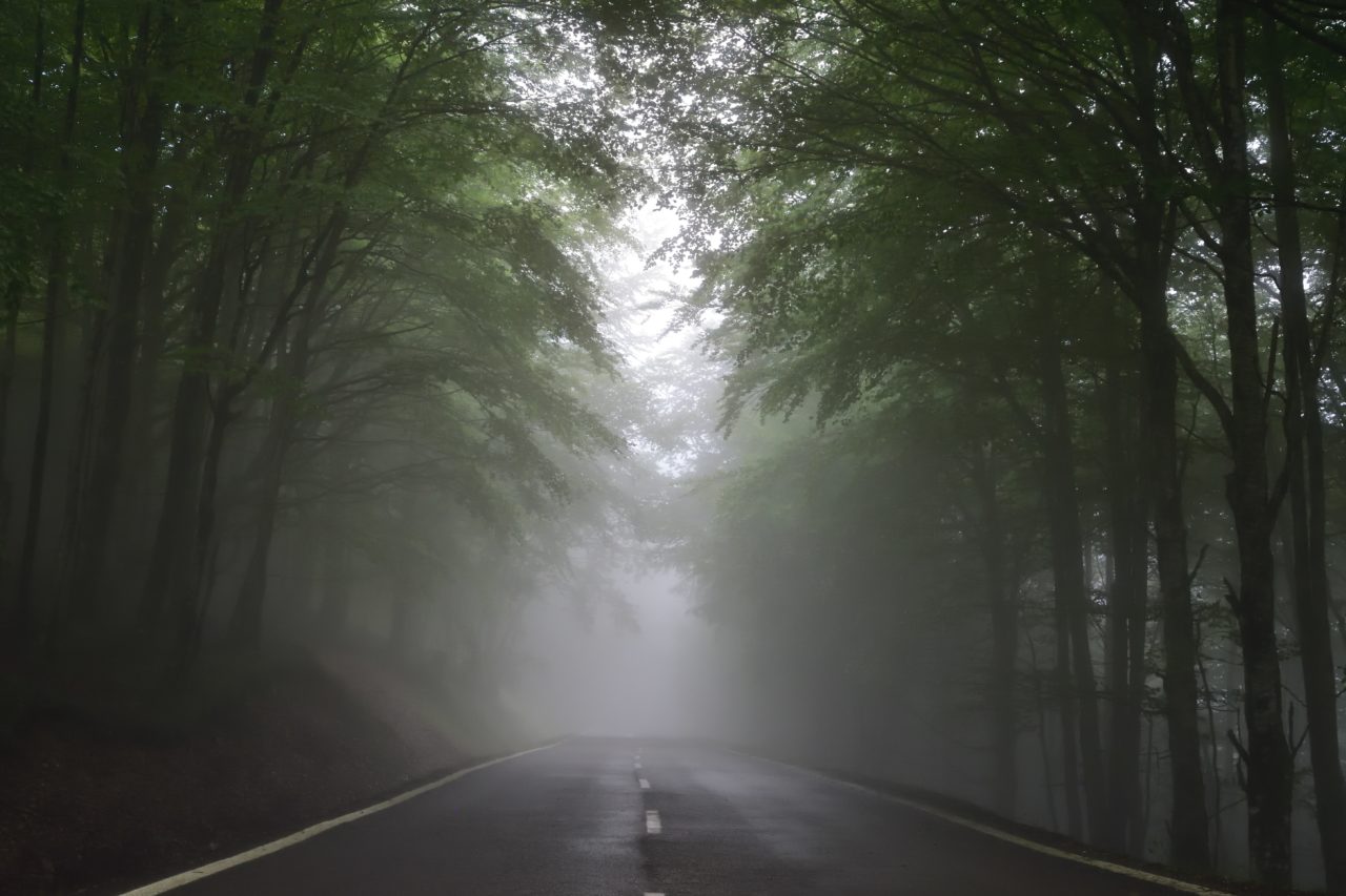 Misty road
