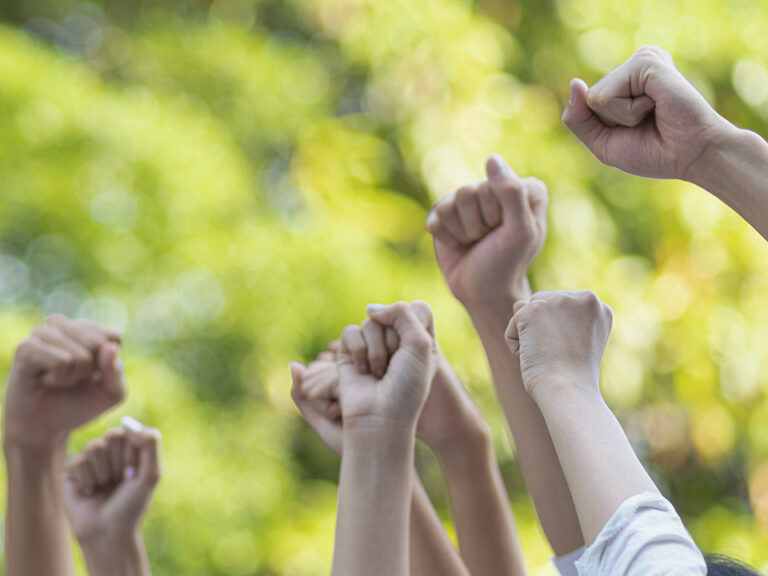 Panoramic group of hands business team raised fist air corporate celebration victory. Victory as a team, fighting for the success of the organization concept. © Shutter B / Adobe Sctock