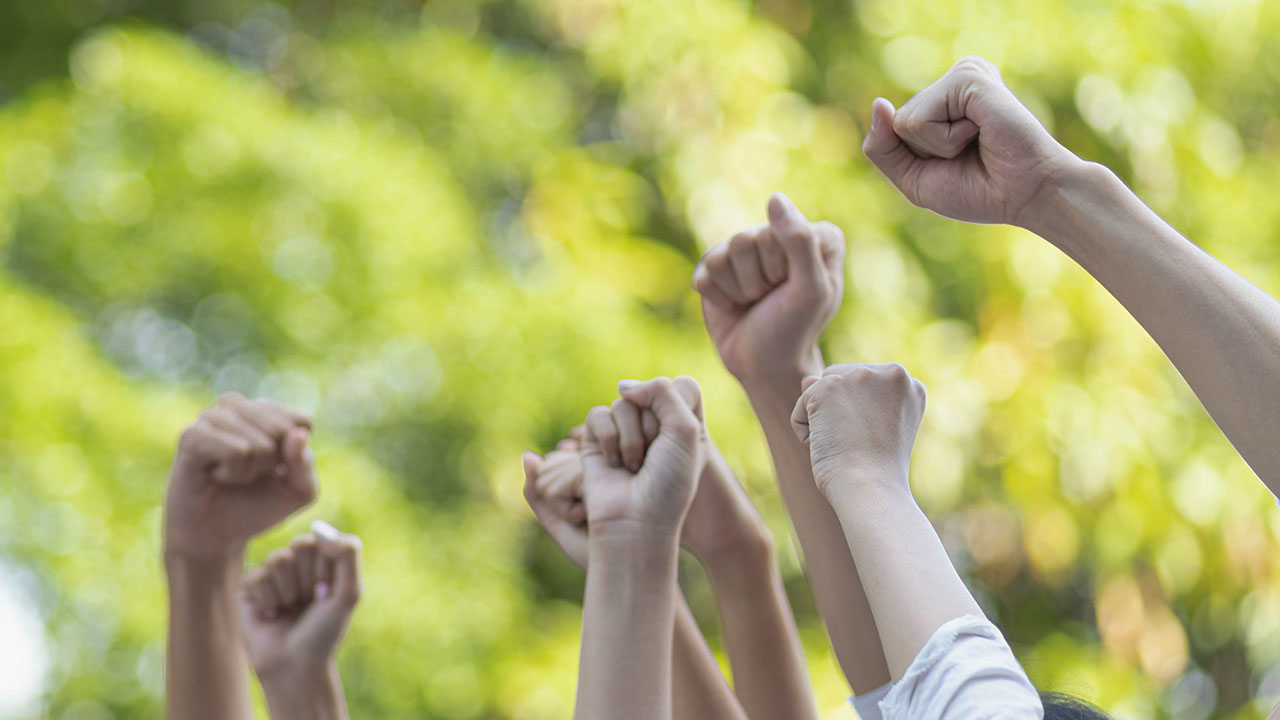 Panoramic group of hands business team raised fist air corporate celebration victory. Victory as a team, fighting for the success of the organization concept. © Shutter B / Adobe Sctock