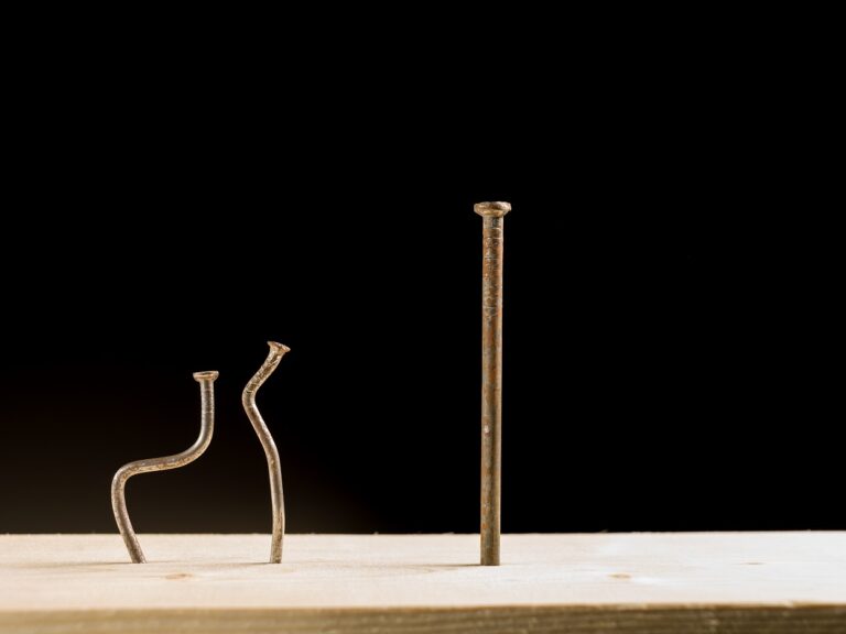 ©Tattoboo / Shutterstock