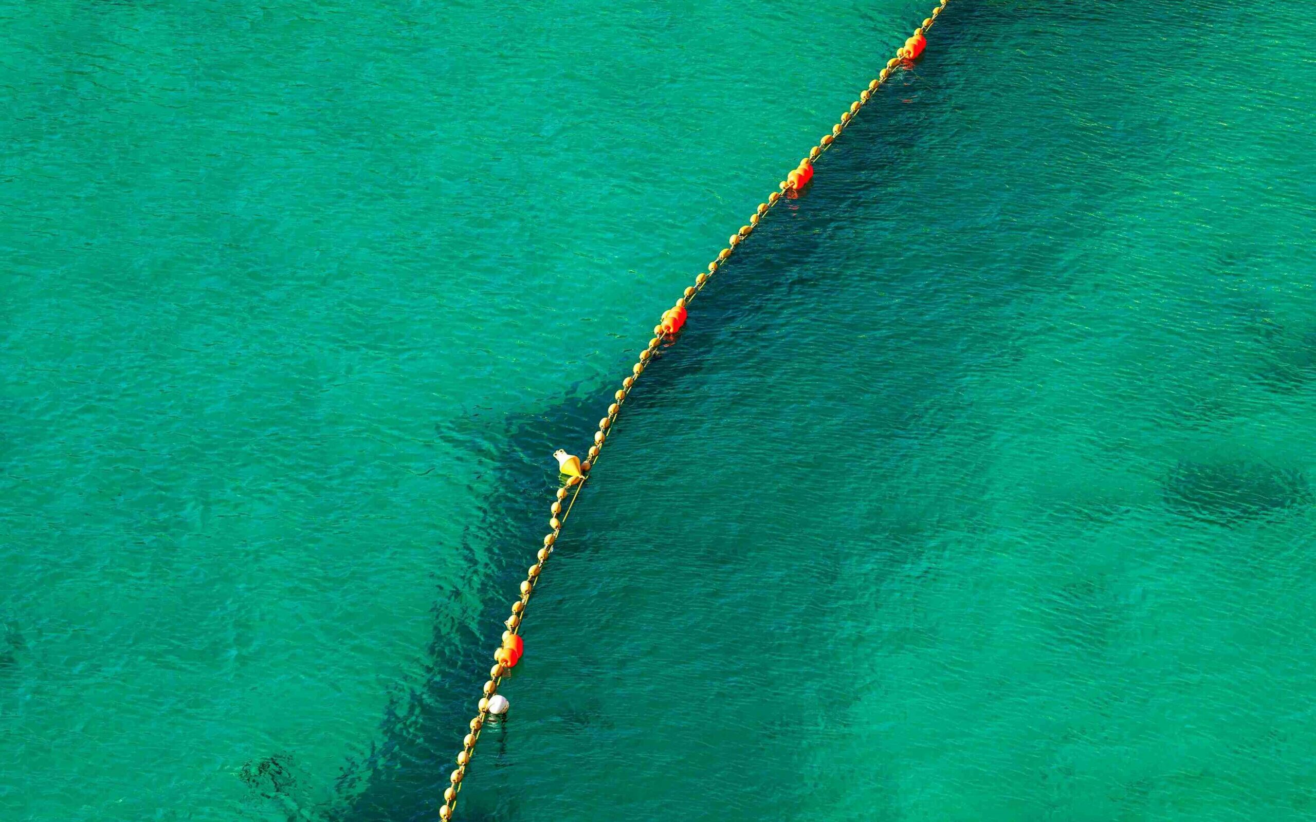 ©RussieseO / Shutterstock A line of bouys divides a bright green body of water