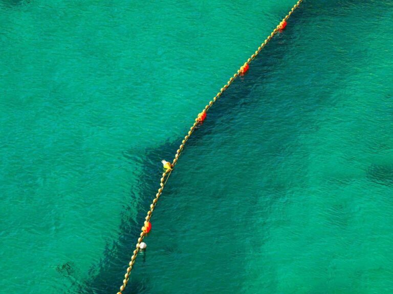 ©RussieseO / Shutterstock A line of bouys divides a bright green body of water