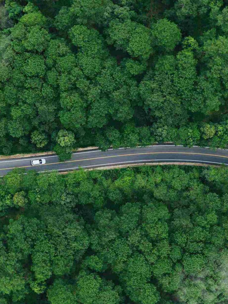 ©deemerwhastudio / Shutterstock