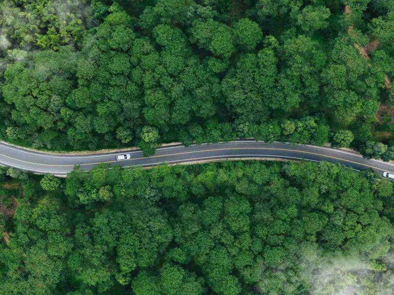 ©deemerwhastudio / Shutterstock