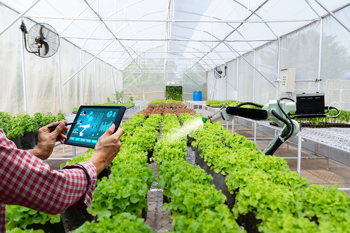 Automatic agricultural technology robot arm watering plants tree