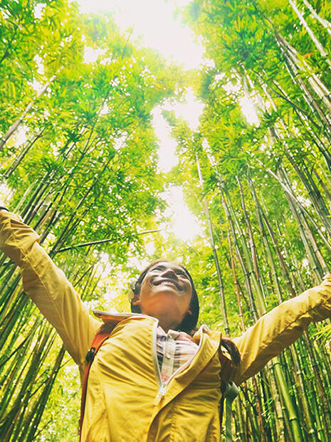 ©Maridav/Adobe Stock Sustainable eco-friendly travel tourist hiker walking in natural bamboo forest happy with arms up in the air enjoying healthy environment renewable resources.