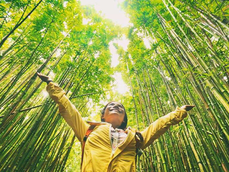 ©Maridav/Adobe Stock Sustainable eco-friendly travel tourist hiker walking in natural bamboo forest happy with arms up in the air enjoying healthy environment renewable resources.