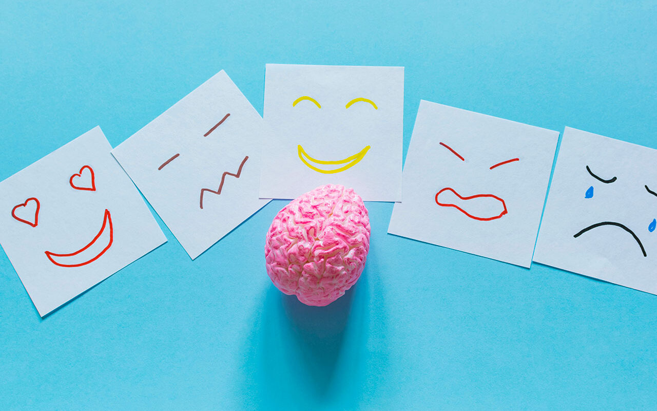 © Tatiana / Adobe Stock Brain model and different emotions drawn on notes, © Tatiana / Adobe Stock