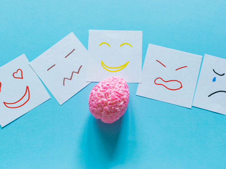 Brain model and different emotions drawn on notes, © Tatiana / Adobe Stock