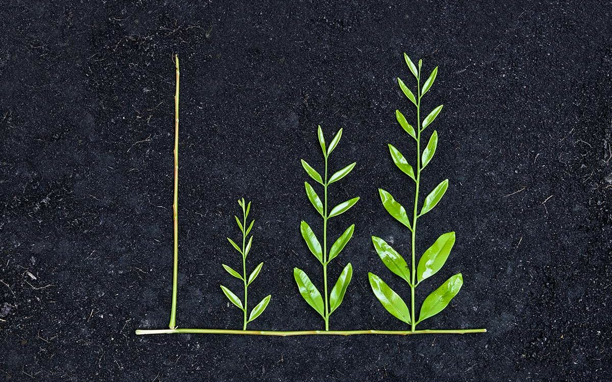 weerapat1003-AdobeStock Tree arranged as a green graph on soil